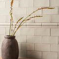 Dark gray textured ceramic vase torus moulding tern holding slender green stems with budding yellow flowers