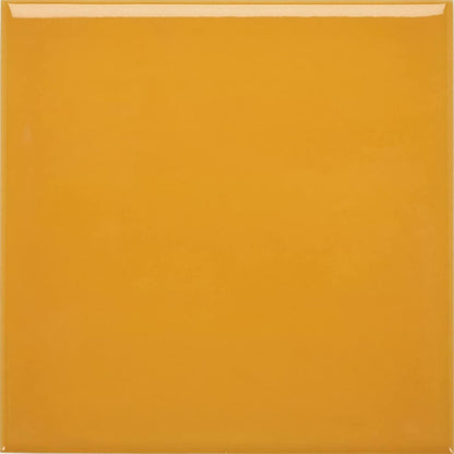 Acapulco Yellow City