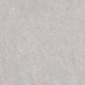 Acorn pearl 60 x 60cm gray textured tile with subtle speckles and a matte finish for flooring and walls