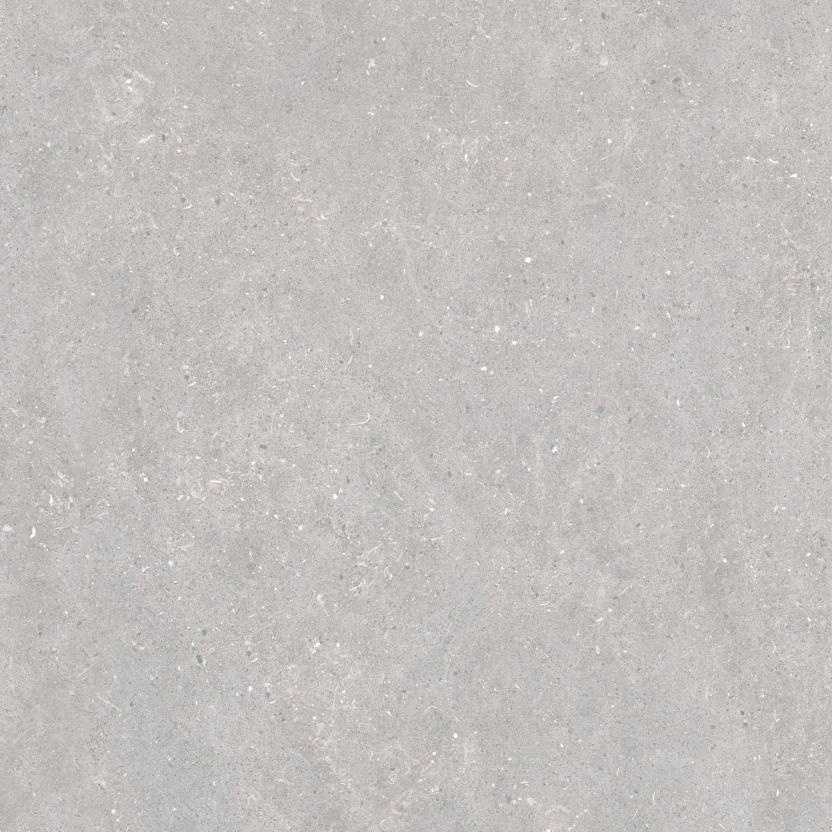 Acorn pearl 60 x 60cm gray textured tile with subtle speckles and a matte finish for flooring and walls