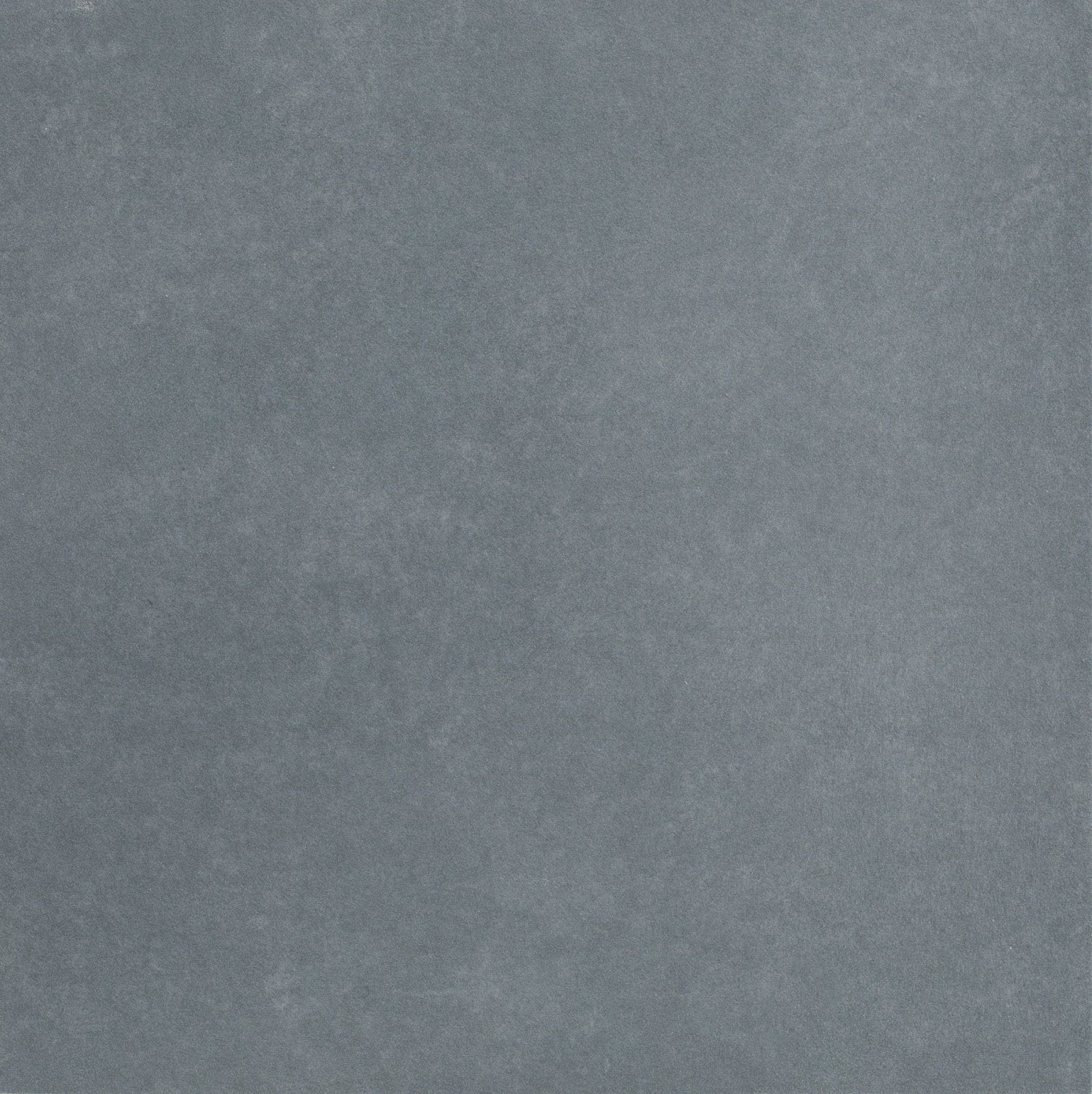 Adventuras Navy Field Porcelain