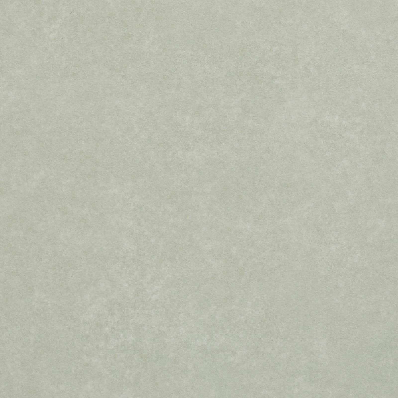 Adventuras olive field porcelain tile with solid off-white textured surface and uniform finish for versatile use