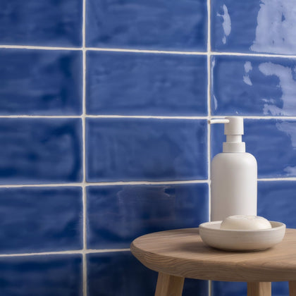 Agapanthus Brick