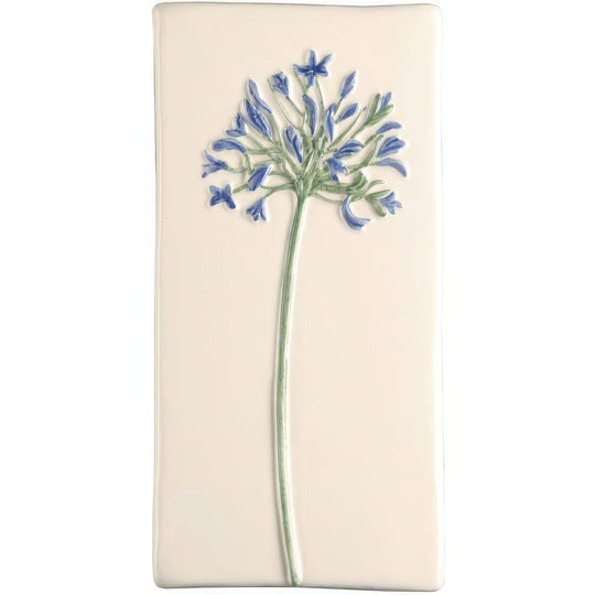 Agapanthus On Off White