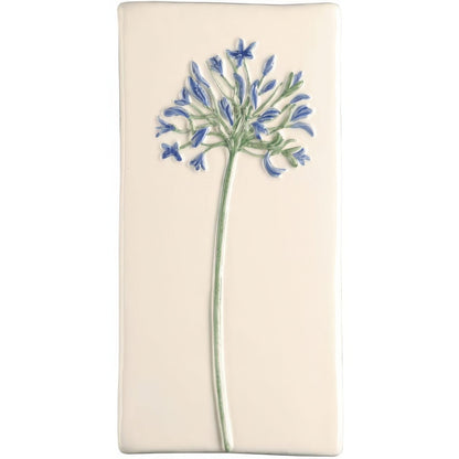 Agapanthus On Off White