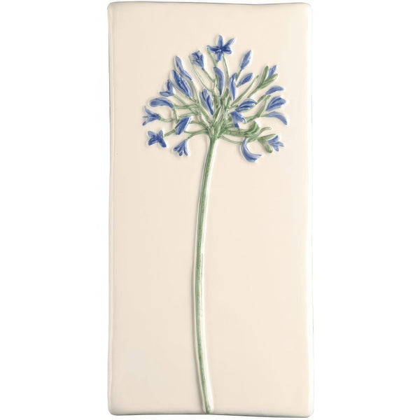 Agapanthus On Off White