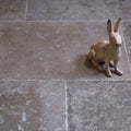 Agencourt Limestone Seasoned Finish – detail view 2