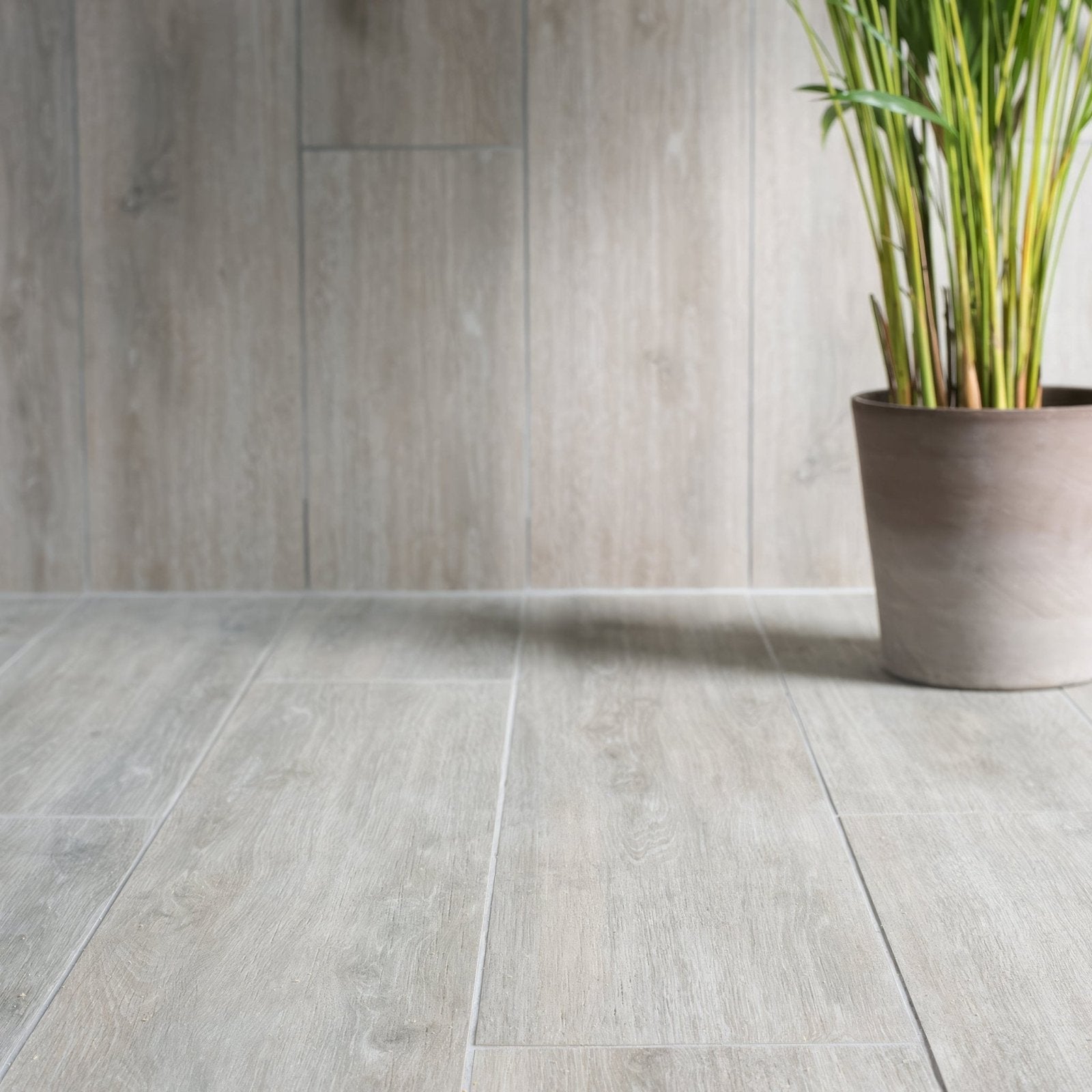 Alamo Ash Rectified Glazed Matt Porcelain