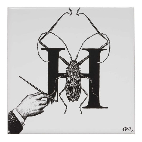 Rory Dobner H – Handrawn Harlequin Beetle Alphabet Tile - Ceramic