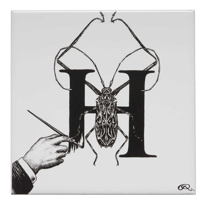 H – Handrawn Harlequin Beetle