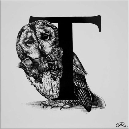 T – Tartan Tawny