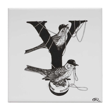 Y – Yo Yo Yankee Yellowtail