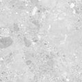 Amaya terrazzo grey matt floor tile with gray and white speckled terrazzo and a smooth polished finish 90 x 90cm