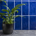 Amun brick tile featuring a lush green peace lily plant in a matte black ceramic pot for indoor decor