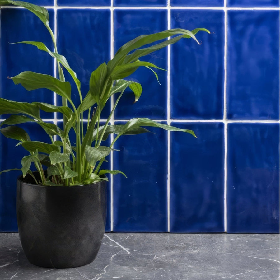 Amun brick tile featuring a lush green peace lily plant in a matte black ceramic pot for indoor decor