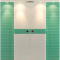Modern arctic 750x600 splashback with sleek chrome showerhead mounted on frosted glass and vibrant green tiles