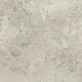 Baltimore 1821 grey polished stone tile with light gray textured surface subtle veining and slightly weathered look
