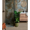 Olive green ceramic planter with tall leafy plant inside beach hut porcelain caramel product design