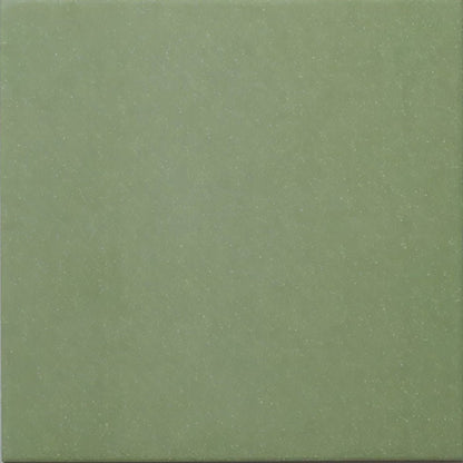 Bert & May Forest Porcelain Plain Tile