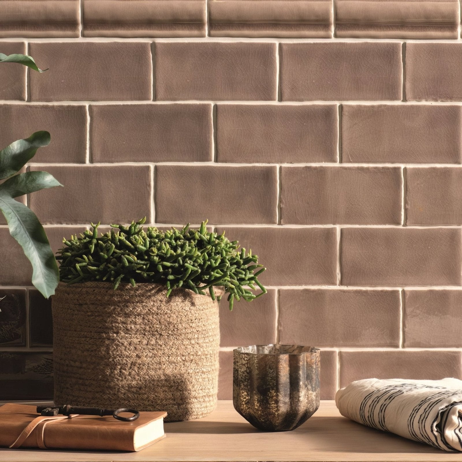 Half tile birch textured woven jute pot holding a lush green succulent plant for home decor