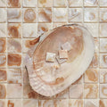 Biscotti 25mm Square iridescent mother-of-pearl mosaic styled with an oyster shell