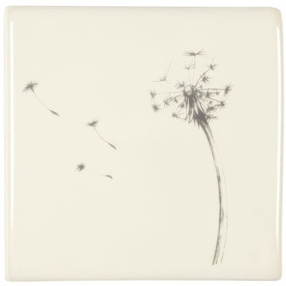 Blown Dandelion On Off White