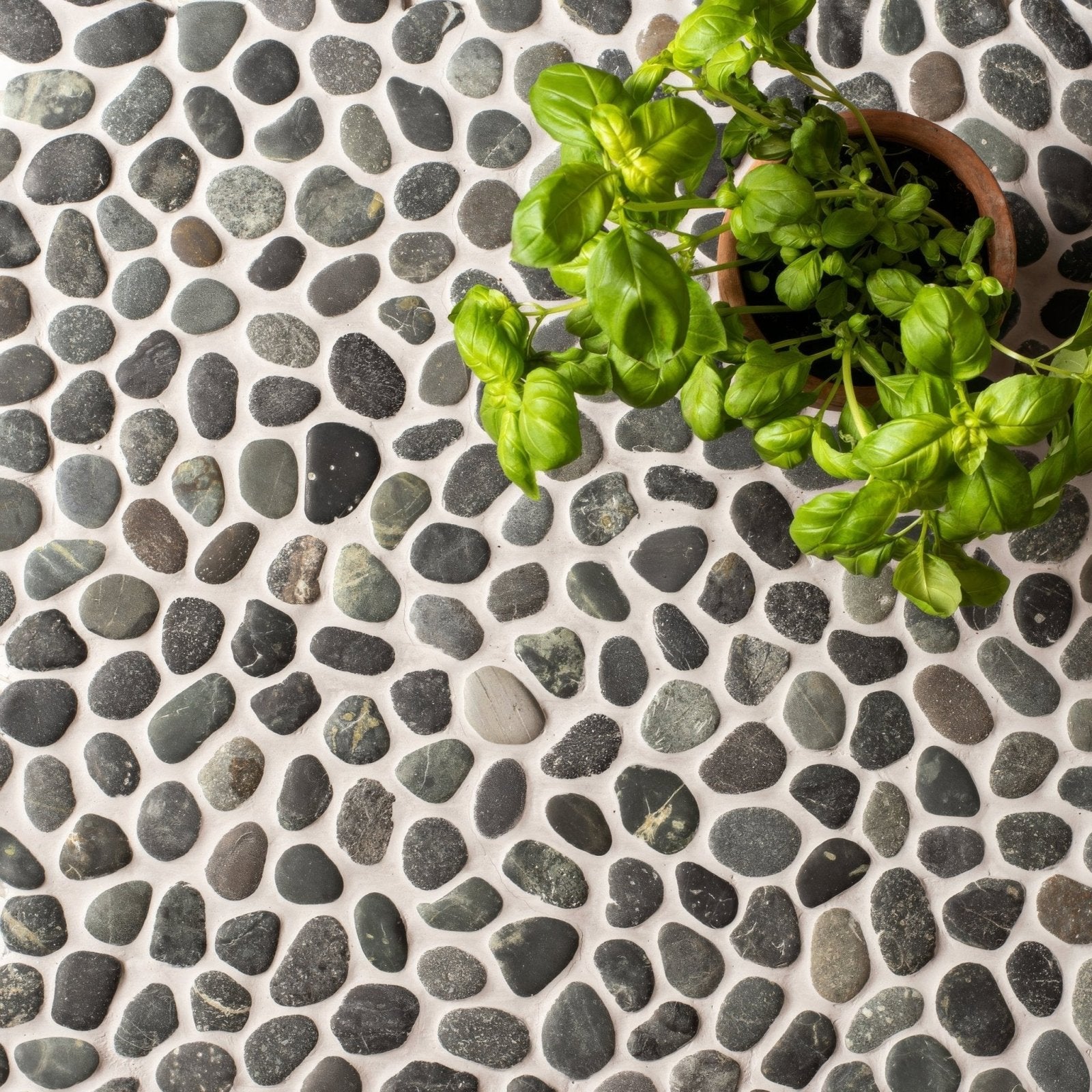 Bora Bora Pebble Mosaic