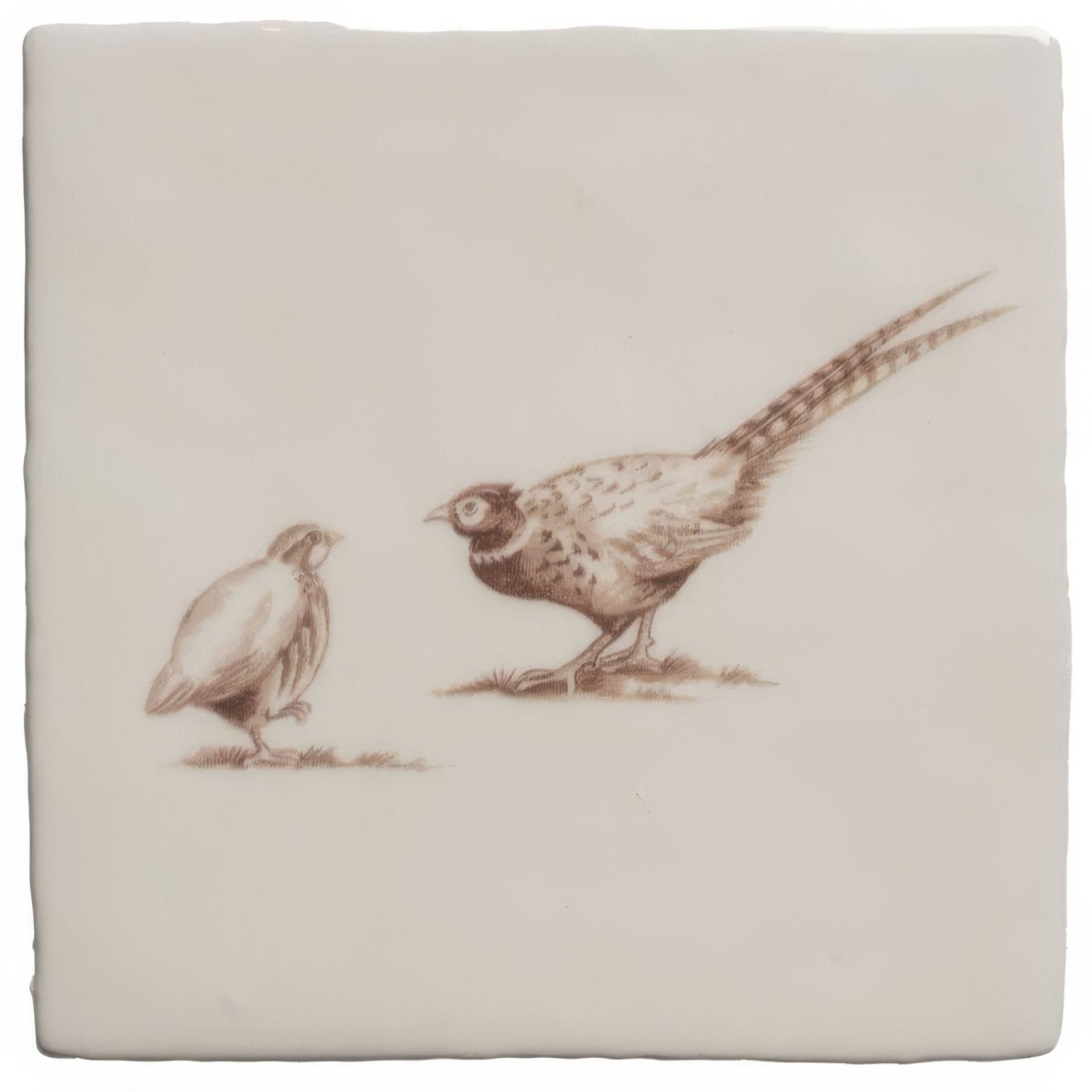Brace of Pheasant Sepia on Cotton