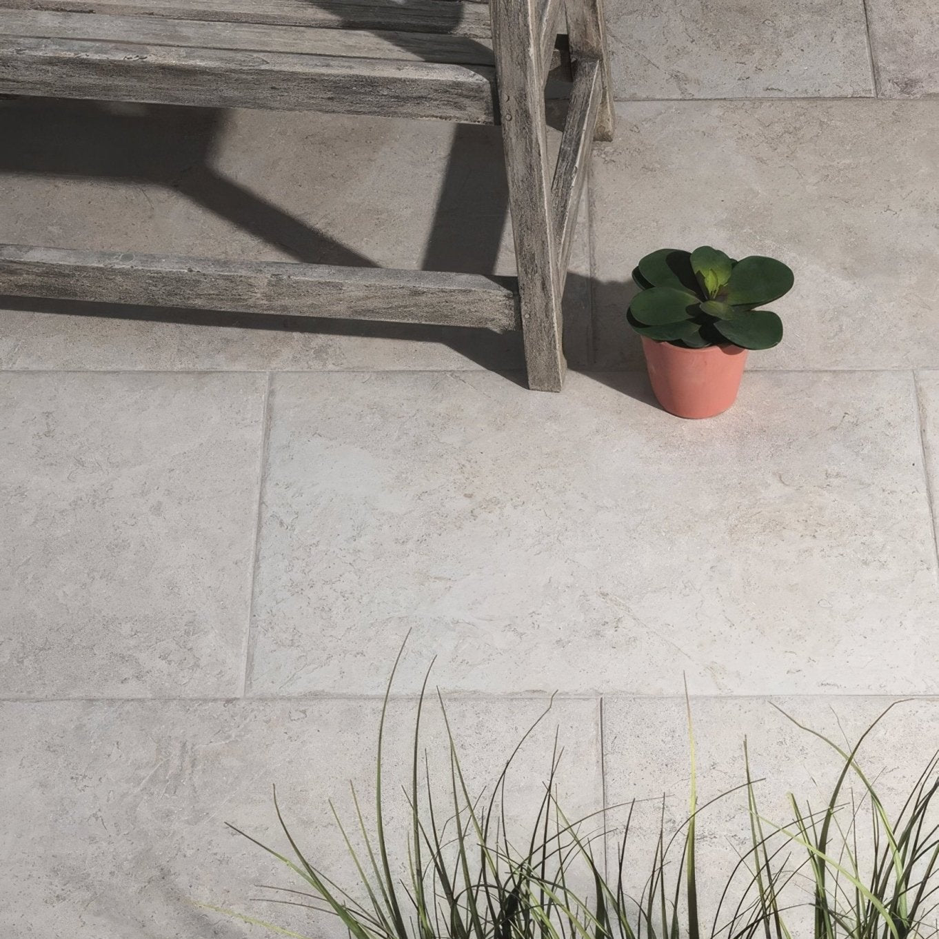 A small potted succulent with broad dark green leaves in a terracotta pot on brit stone minster porcelain paving