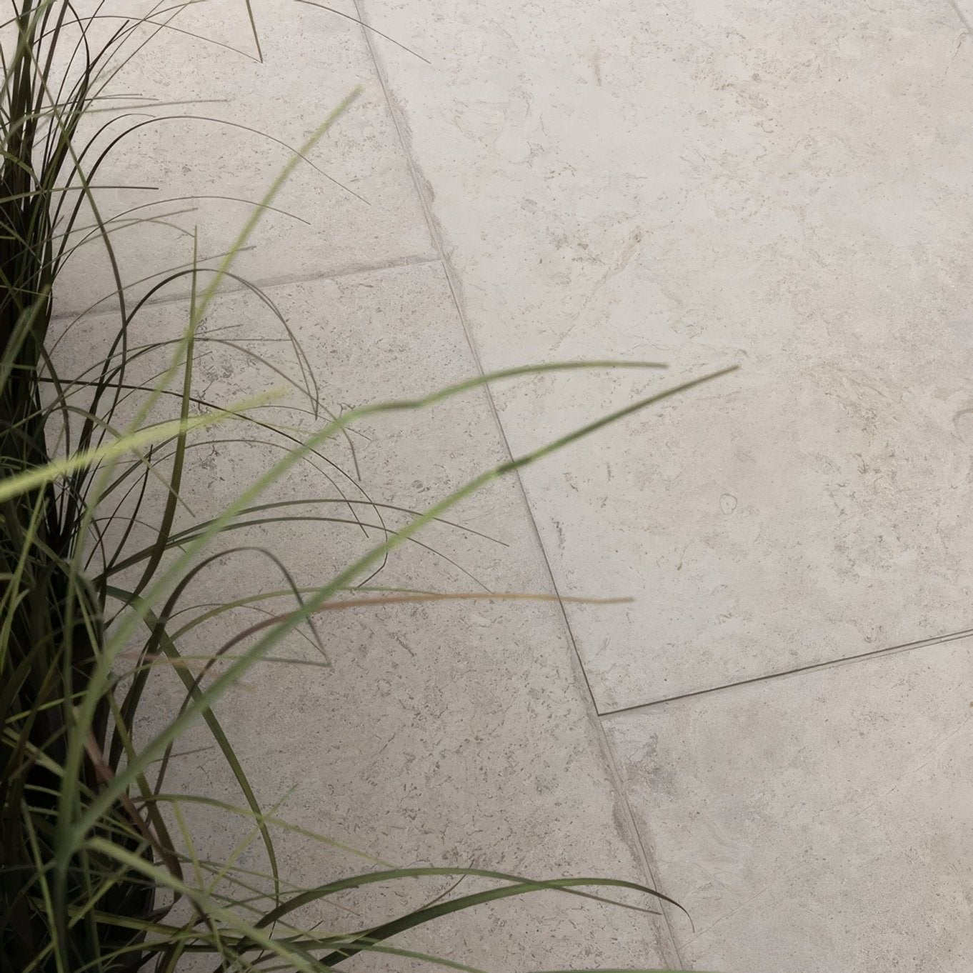 A cluster of slender green grass blades with brown tips highlighting natural tones for brit stone minster porcelain paving