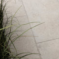 A cluster of slender green grass blades with brown tips highlighting natural tones for brit stone minster porcelain paving
