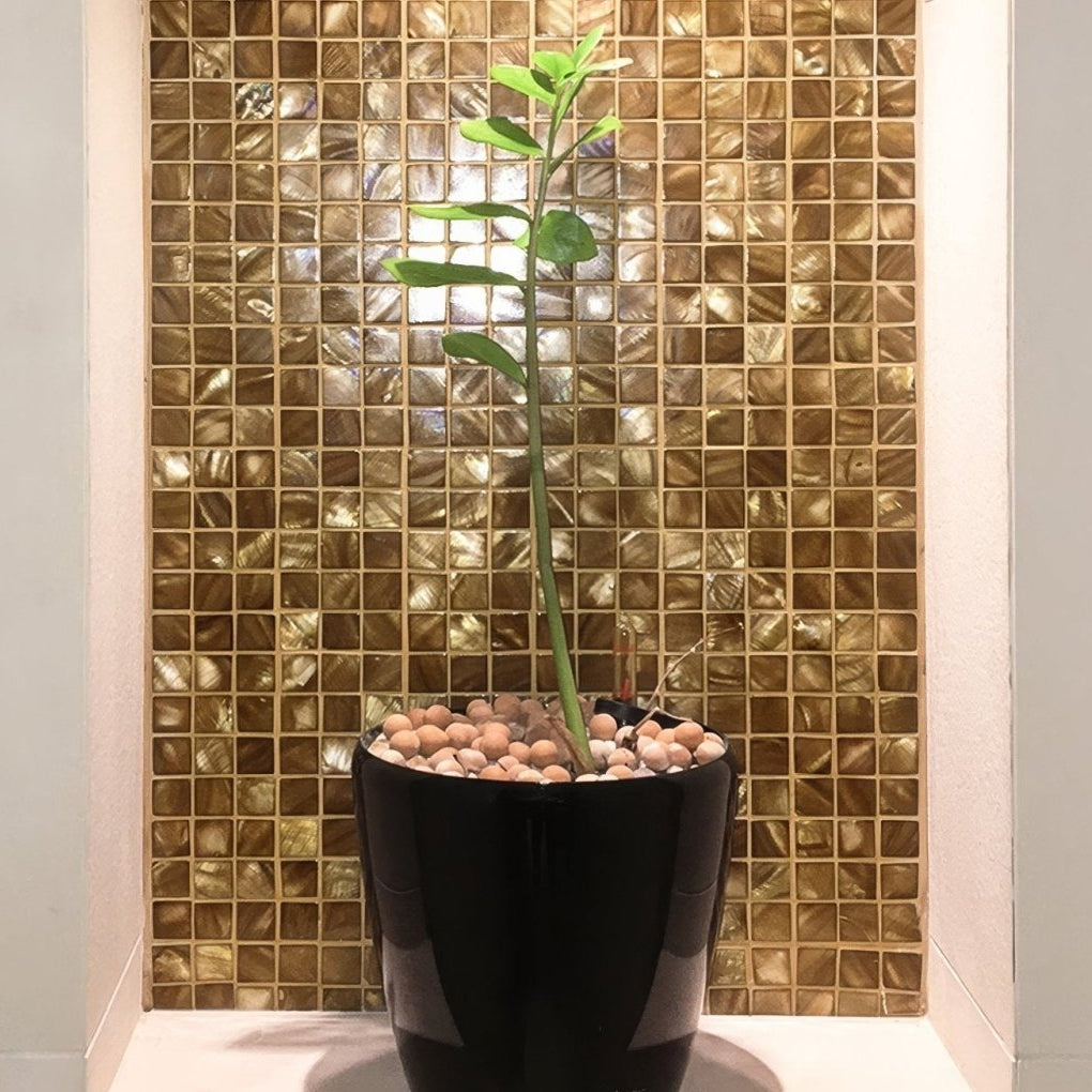 A slender green plant with glossy leaves in a sleek black ceramic pot with beige pebbles against bronze 25mm square gold mosaic tiles