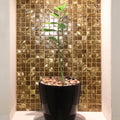 Bronze 25mm Square golden iridescent mosaic styled with a green plant in a black pot