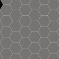 Buckfastleigh revival grey hexagonal ceramic tile with gray pattern and white outlines for flooring and walls