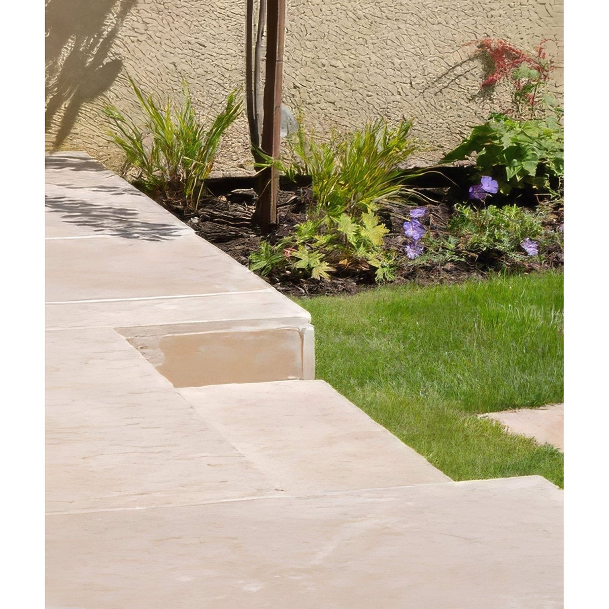 Beige buscot limestone paving steps with etched finish and smooth textured surfaces leading to a garden bed