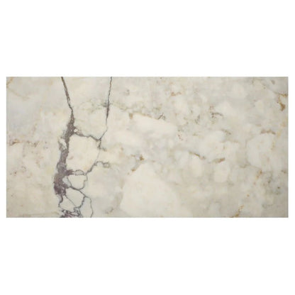 Calacatta Viola Honed Marble Tile