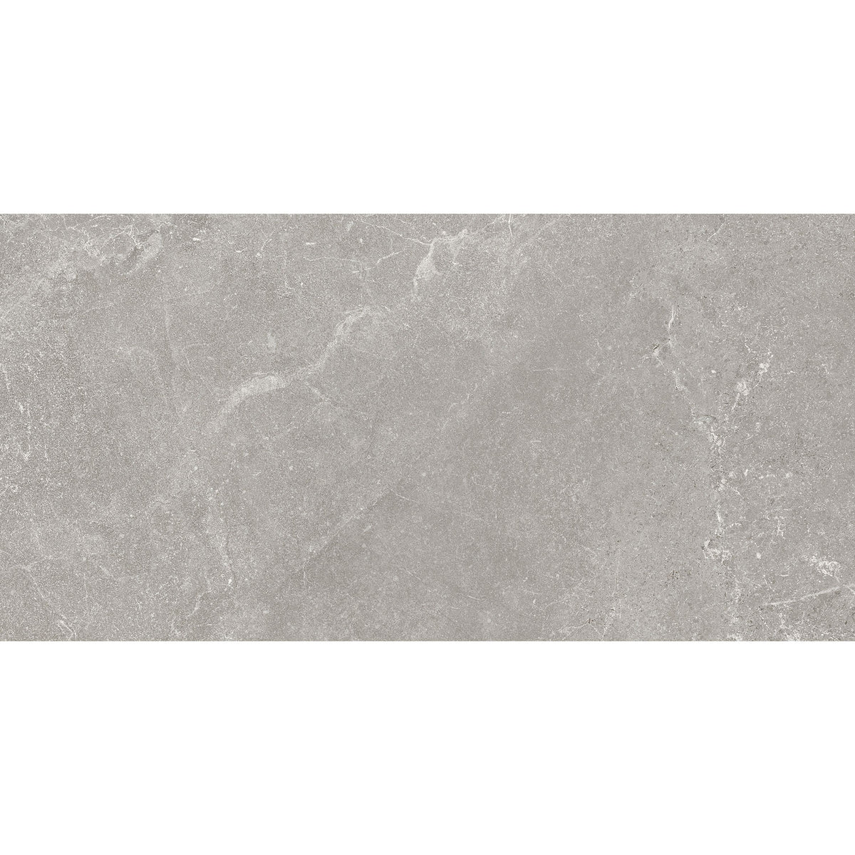 Capitol Grey Polished Wall Tile 30x60cm – close-up detail