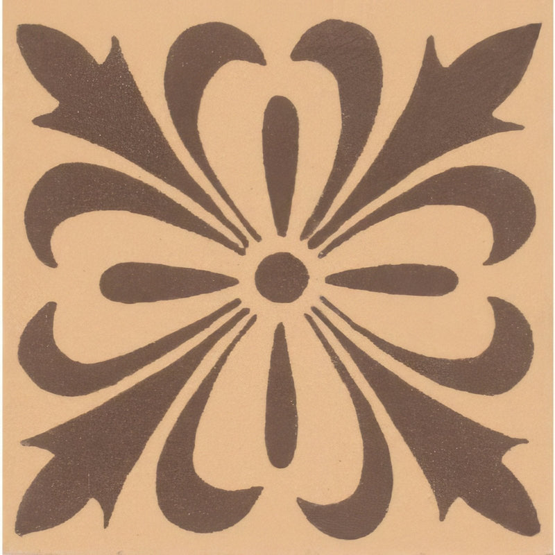 Cardigan Brown on Buff