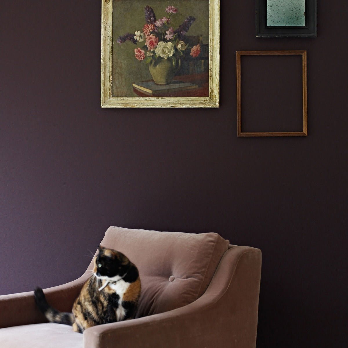 Carragheen plush taupe velvet armchair with tufted upholstery and soft cushioned seat for comfortable seating