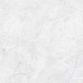 White marble tile carrara gioia polished porcelain 120 x 120cm with subtle gray veining
