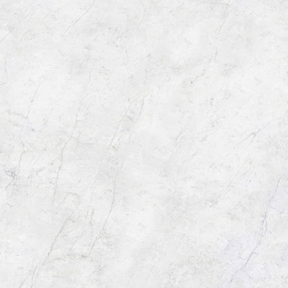 Carrara Gioia Polished Porcelain 120 x 120cm