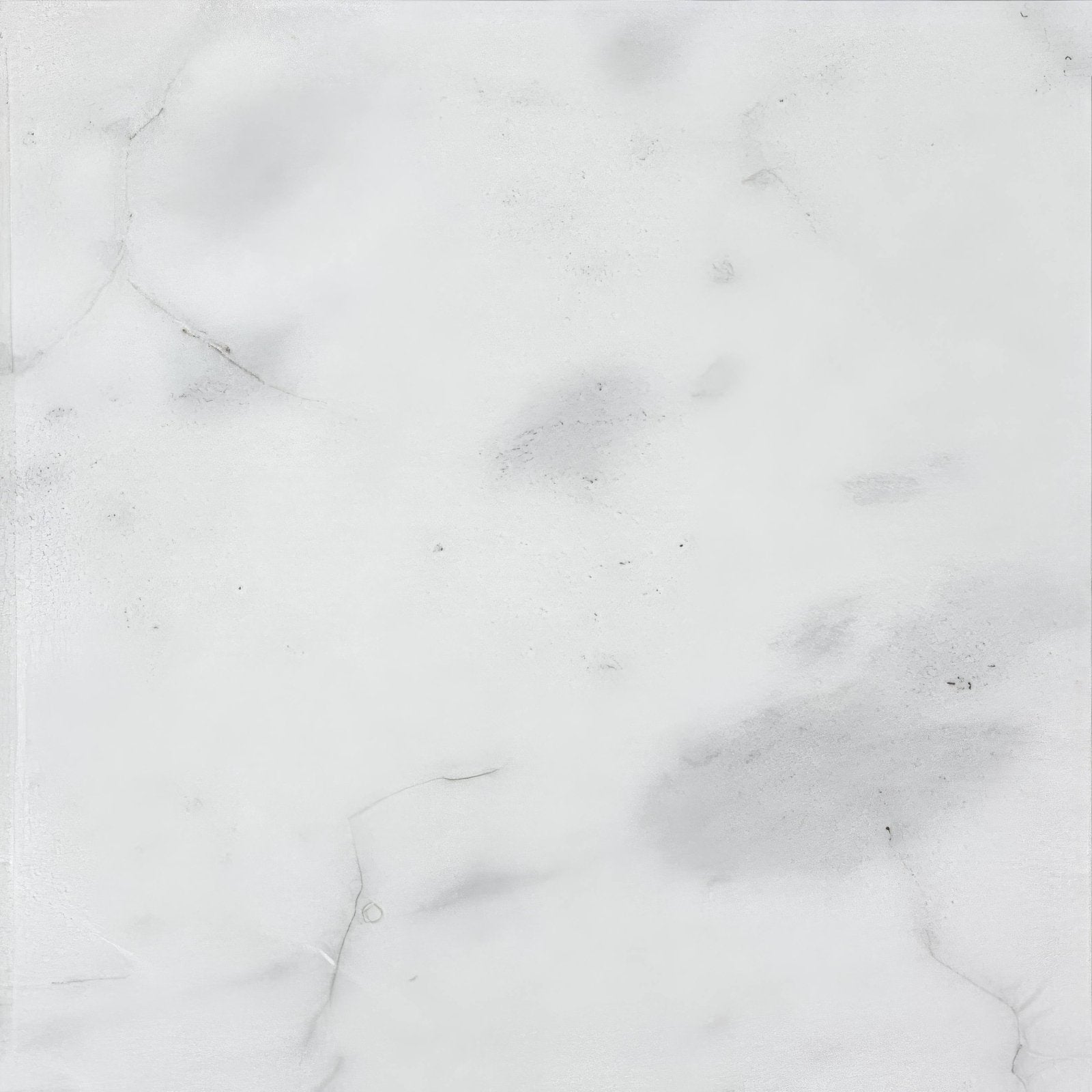 Carrara white marble honed tile 30.5 x 30.5cm with subtle gray veining and smooth polished surface
