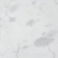 Carrara white marble honed tile 30.5 x 30.5cm with subtle gray veining and smooth polished surface