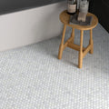 Carrara White Marble Penny Mosaic Tile white circular marble penny round mosaic flooring with a polished finish
