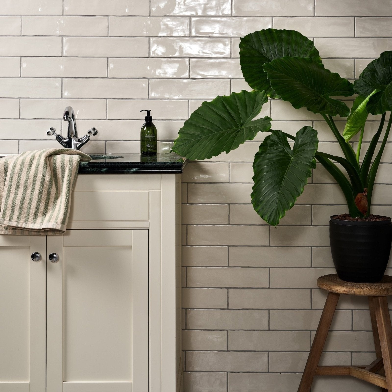 Carter Ceramic Milk white glossy ceramic subway tiles with an alocasia plant in a black pot