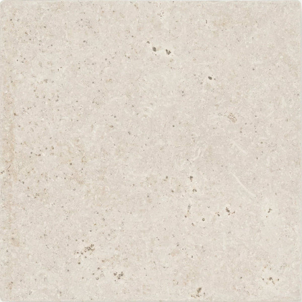 20 x 20cm Limestone Floor Tile