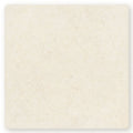 Cathedral Classic 20 x 20cm cream-colored stone tile with subtle veins and smooth polished finish for flooring and walls
