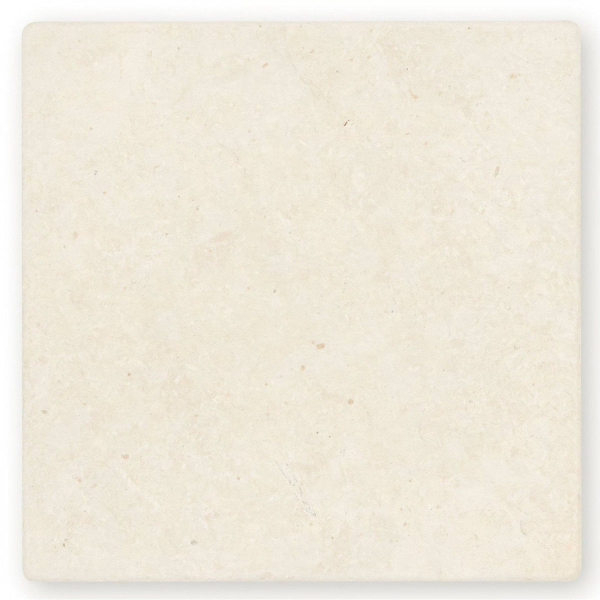 Cathedral Classic 20 x 20cm cream-colored stone tile with subtle veins and smooth polished finish for flooring and walls