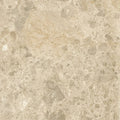 Ceppo beige 60 x 60cm polished beige marble surface with subtle gray veining and smooth texture