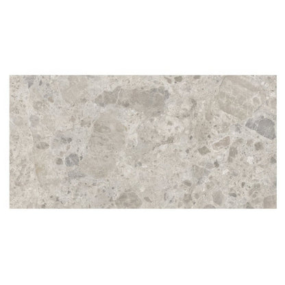 Ceppo Gris 60 x 120cm